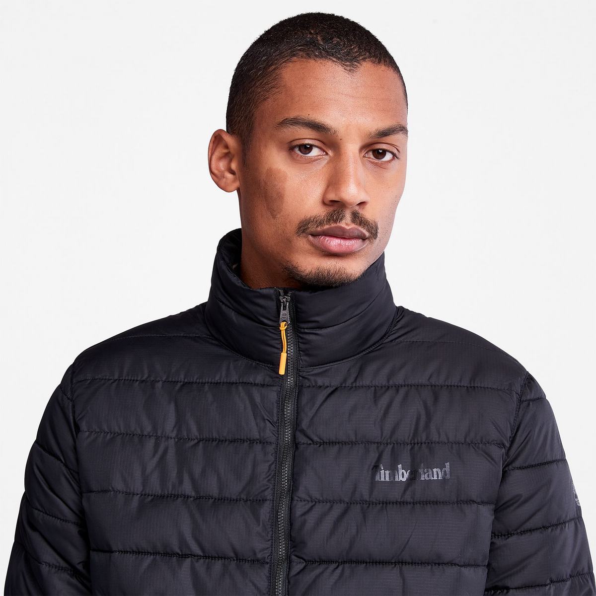 Timberland Overtøj Herre Sort | SLZD51498